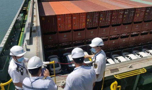 粽情山海 崂山端午文化大餐与殡葬礼仪服务的和谐启示