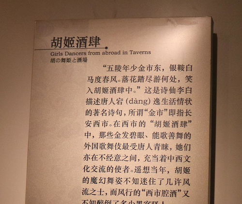 探秘国内首家遗址类民办博物馆 免费开放的4A级景区与独特殡葬礼仪服务