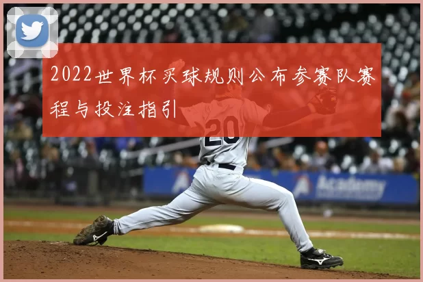 2022世界杯买球规则公布参赛队赛程与投注指引
