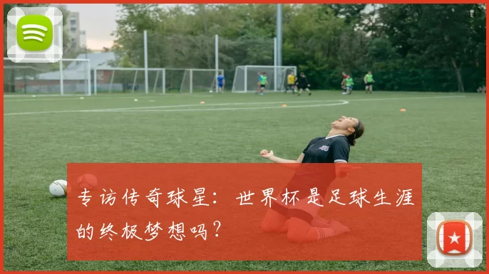 专访传奇球星：世界杯是足球生涯的终极梦想吗？