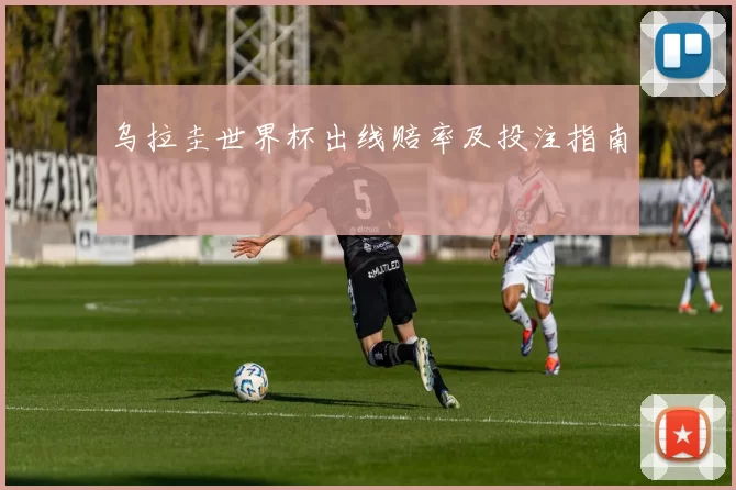 乌拉圭世界杯出线赔率及投注指南