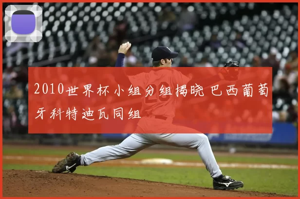 2010世界杯小组分组揭晓 巴西葡萄牙科特迪瓦同组
