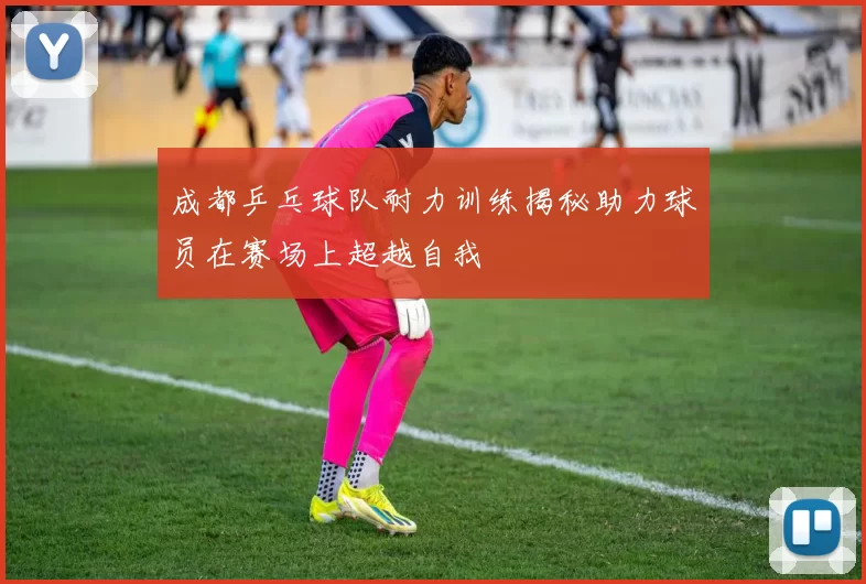 成都乒乓球队耐力训练揭秘助力球员在赛场上超越自我