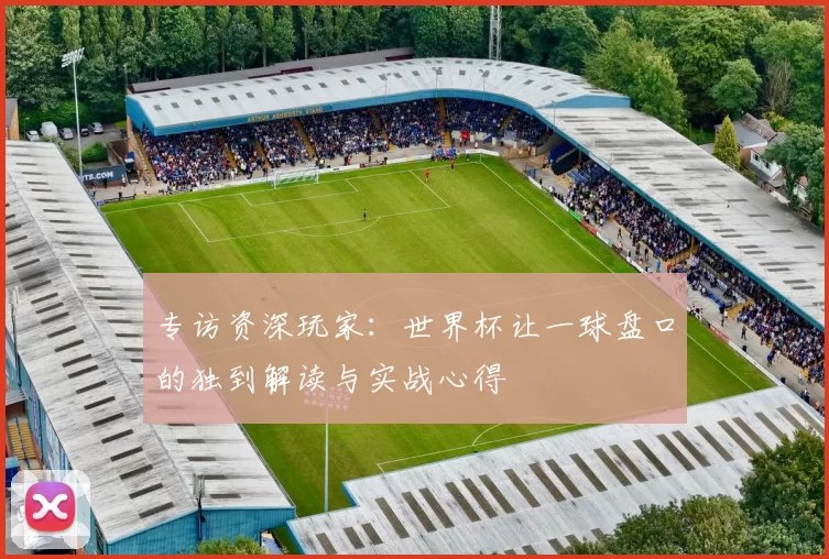 专访资深玩家：世界杯让一球盘口的独到解读与实战心得