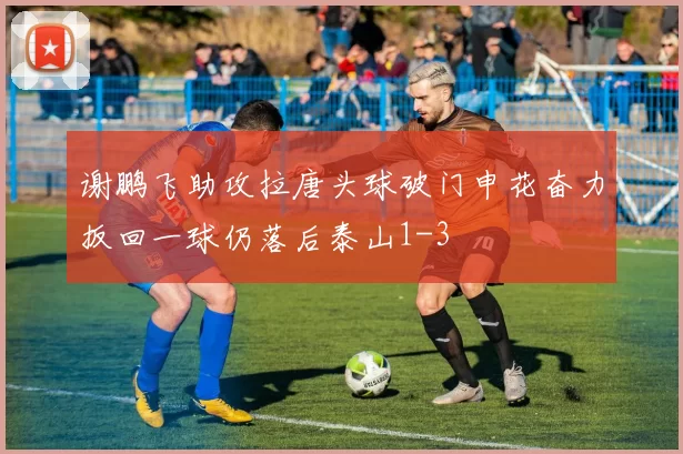 谢鹏飞助攻拉唐头球破门申花奋力扳回一球仍落后泰山1-3