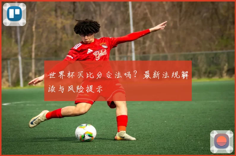 世界杯买比分合法吗?最新法规解读与风险提示