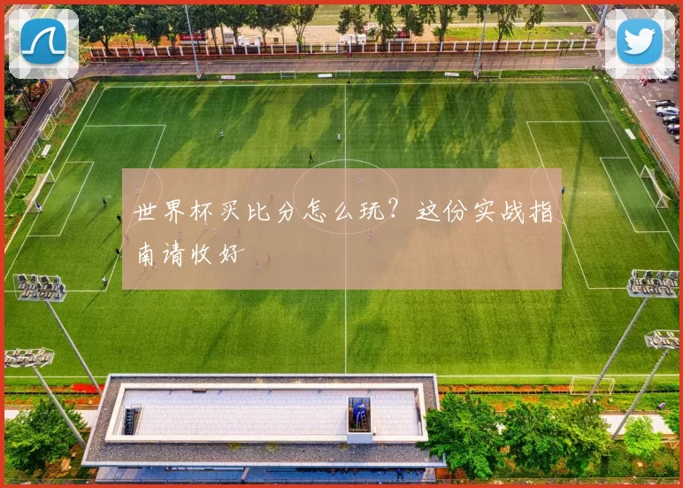 世界杯买比分怎么玩?这份实战指南请收好