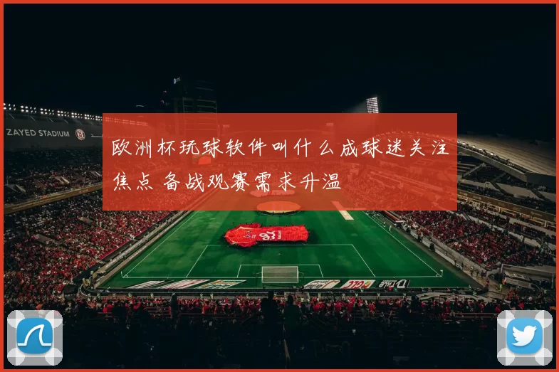 欧洲杯玩球软件叫什么成球迷关注焦点 备战观赛需求升温