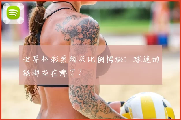 世界杯彩票购买比例揭秘：球迷的钱都花在哪了？