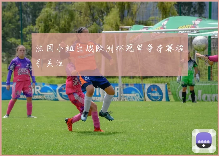 法国小组出战欧洲杯冠军争夺赛程引关注