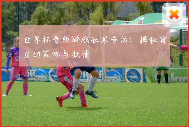 世界杯晋级游戏独家专访:揭秘背后的策略与激情