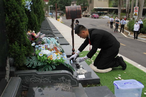 4月7日焦点图 柳州融水景区免门票背后的高价过桥费与殡葬礼仪服务争议